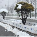 수목개발 이미지