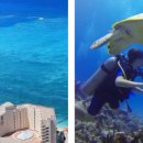 카우스토리팜 이미지