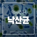 신아산약국 이미지