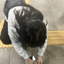 다인위즈 이미지