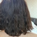 헤어 단백질 에센스 헤넬 더 스프링 헤어 세럼 사용 후기