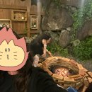 제주스테이 비움 이미지