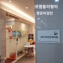 세미이비인후과의원 이미지