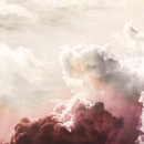 TEXTURE(텍스쳐) 이미지