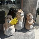 안양우편집중국 | [후기] 벚꽃 휘날리는 브런치 맛집 버터비버 범계본점