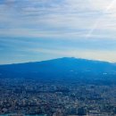 마요피갤러리 | 사진으로 쓰는 제주여행 1일차-런던베이글뮤지엄과 마요피갤러리 혼자여행 솔직 후기