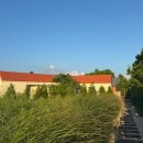 슬로메이 이미지