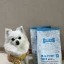 구름소프트 | 강아지 다이어트사료 추천, 본아페티 관절·체중조절 소프트 기능성 사료 후기