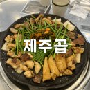 제주곱 이미지