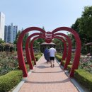 유교랜드 북쪽 주차장 앞 | 대구 이곡공원(장미공원, 정자공원, 생수공원), 두류공원