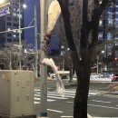 출장은 힘들군요? 나 출장안갈래