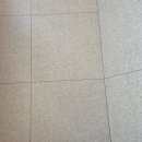 봄봄봄 봄꽃 구경 핫플 대학산책(2)-경성대학교(feat.투썸부산경성대역점 초코라떼)