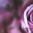 의료기나라 이미지
