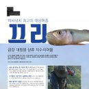 피서플라이 이미지