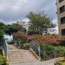 더쎈제주영어교육도시공인중개사사무소 이미지