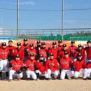 울산시청 이미지