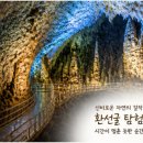 바다와여행 | 강원도 삼척 힐링 여행 후기 | 바다와 숲, 동굴이 어우러진 완벽한 치유 여행