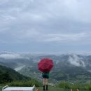 단양 썬패러글라이딩 익스트림코스 비오는 날 비행 내돈내산