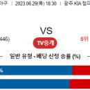 6월29일 국내야구 자료정보 이미지