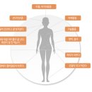 아름드리한의원 이미지