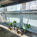 노원-수락-노원-(급)5001 | 수락이오냉면 두번째방문 냉면맛집 +주차