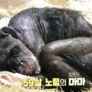 봄햄농장 이미지