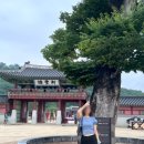 용성마을회관 | 수원 가볼만한 곳 - 화성행궁 야간개장/벽화마을/용성통닭/유치회관