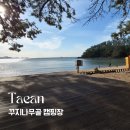 바다랑캠핑장 | 블로그씨 질문 답｜아이와 함께 가기 좋은 바다 뷰 태안 꾸지나무골 캠핑장