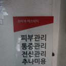 큐비투