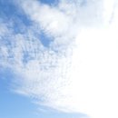 함안 말이산고분군 이미지