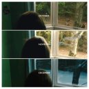 니모메 빈티지 라운지 또주]너의 마음에....<b>니모메</b><b>빈티지</b> <b>라운지</b> 카페 (부제:결혼에 대하여)
