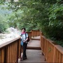 공룡약국 이미지