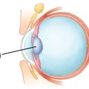 우안산업 이미지