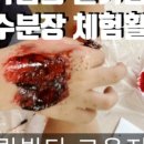 웅이마술사의 신기한 마술이야기 이미지