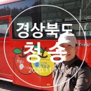 청송 ㅡ대중교통 이용한 2박 3일 청송 여행, 청송 야송미술관, 47m 한국화 청량대운도, 청송 주산지