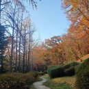 단대게이트볼장 이미지