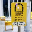 성안올래 길 리본 더 많이 달아주세요. 이미지