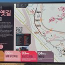 매화원동마을