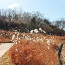 오이도선사유적공원(주차장) 이미지