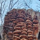 행복전동휠체어협동조합 | 2025년 12월 10일