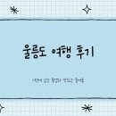 안녕저동펜션 | 울릉도 여행 2박3일 후기 ( 패키지, 숙박, 배편 꿀팁)