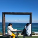 바다정원 | 강원도 속초 오션뷰 바다정원 카페 방문 후기