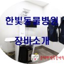 운정한빛동물병원 네이버블로그