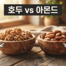 알파오메가마트 | 견과류 효능 (호두, 아몬드)