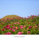 의성조문국사적지 이미지