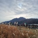 운수좋은 상단