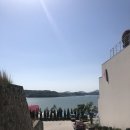 비고리조트 15 이미지