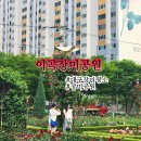 큐리코 | 5월 대구가볼만한곳 도심속 장미세상 이곡장미공원