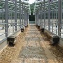 신진목장 이미지