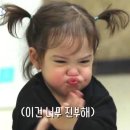 달보드레헤어